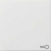  Gira Klawisz symbol klucza Gira F100 biały