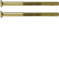 Śruba z dwoma otworami  M3,5 x 50 mm; złoty; System TS