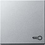 Klawisz symbol klucza System 55 kolor aluminiowy